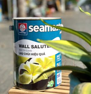 Sơn chống thấm tại Bình Chánh